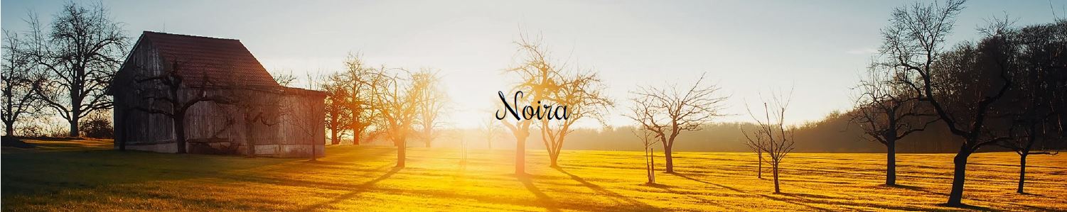 Noira.cz - o domácí výrobě všeho dobrého ..